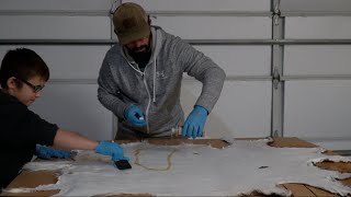 How to tan a deer hide on a budget easy way [upl. by Dunstan878]