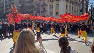 Capodanno CINESE Roma 2024 l’anno del DRAGO 🐉 [upl. by Callas956]