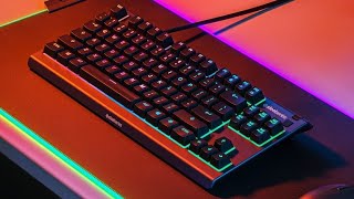 SteelSeries Apex 3 TKL  best budget gaming keyboard on Amazon watch before buy [upl. by Ihcego]