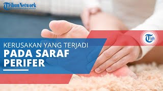 Neuropati Perifer Kerusakan pada Saraf Perifer yang Menyebabkan Gejala Mati rasa dan Nyeri [upl. by Eseer993]