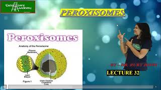 Peroxisomes Lecture32 Cell Biology PTS 1 and 2 [upl. by Adniralc]