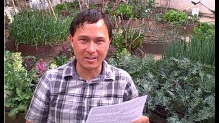 Can I Compost Oranges and Other Citrus Fruits amp More Organic Gardening QampA [upl. by Drarej]