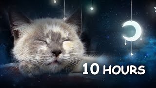 10 HOURS  Relaxing Lullaby for Cat and Kitten with Cat purring sounds CAT MUSIC [upl. by Nesahc]