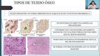 HISTOLOGÍA TEJIDO ÓSEO [upl. by Sunshine]