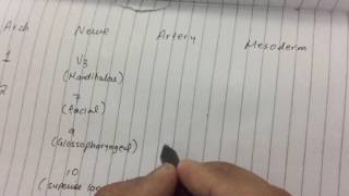 Pharyngeal Arches amp Pouches Made Ridiculously Simple with Mnemonic for USMLE STEP 1 [upl. by Albertine938]