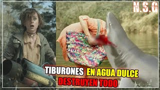 Resumen Tiburones DE AGUA DULCE ACABAN CON TODO  En 8 minutos [upl. by Behah]