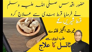 Qusta e Shireen Ke FaideBenefits of Costus Root Tonsils Ka Ilaj by Dr Najm Rehan [upl. by Starlin]