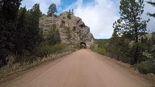 Springer Gulch Campground Tour  Eleven Mile Canyon [upl. by Nailil]