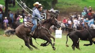 National Championship Chuckwagon Races  2020 Intro [upl. by Torrance]