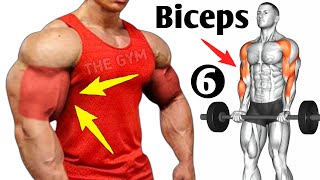 6 Best Exercises Bigger Biceps At Gym  Biceps Workout [upl. by Nuli]