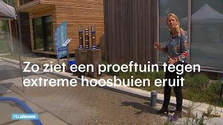 Wat te doen tegen extreme hoosbuien Deze proeftuin zoekt naar oplossingen  RTL NIEUWS [upl. by Sheets]