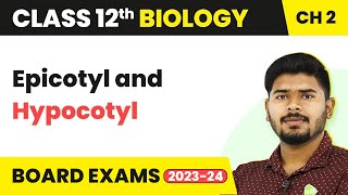 Epicotyl amp Hypocotyl  Sexual Reproduction in Flowering Plants  Class 12 Biology Ch 2 NCERTNEET [upl. by Lyndel]