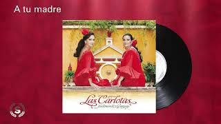 Las Carlotas  A tu madre Audio Oficial [upl. by Erasmo]