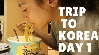 Trip to Korea Day 1 VLOG 21 [upl. by Akemeuwkuhc]