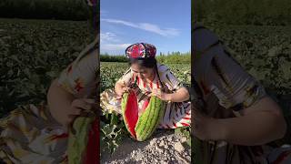 Fun in the Fields Sweet Summer Watermelon Days [upl. by Comras]