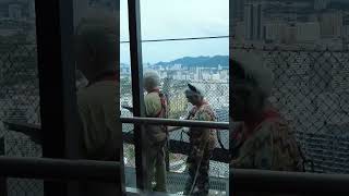 THE TOP Penang Adventure Skywalk Tower Walk amp More xiaoqiangwalker penang malaysia travel [upl. by Annaid]