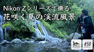 【風景写真】花咲く夏の渓流風景を撮る｜北杜市 吐竜の滝｜Landscape photography Japan [upl. by Tabbie255]