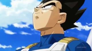 Every Vegeta Scene During the Super Saiyan God Goku vs Beerus Fight in DB Super [upl. by Eromle347]