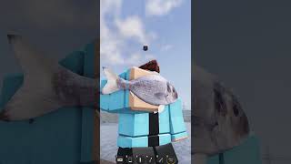 fishing in erlc roblox erlcroblox erlcupdate [upl. by Auqenehs]