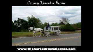 Horse Drawn Hearse  Horse Drawn Funeral Coach 2  Carriage Limousine Service [upl. by Miculek]