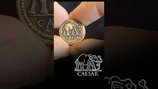 Julius Caesar Denarius Ancient Coin Shorts [upl. by Etteb30]