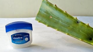 Vaseline and Aloe Vera Gel Face Care Beauty Tips At Home  Simple Skin Care Beauty Life Hacks [upl. by Ingmar]