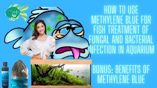 Bonus Tips on How To Use Methylene Blue For Fish Treatment of FungalBacterial Infection In Aquarium [upl. by Wood469]