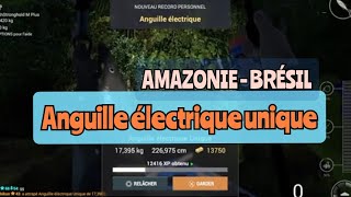 BRESIL  ANGUILLE ELECTRIQUE UNIQUE  DEDALE DE LAMAZONIE  AMAZONIAN MAZE [upl. by Veta627]