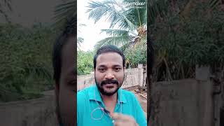 Kalyana maalai kondadum penne song  like subscribe amp comments pannunga [upl. by Panthea437]