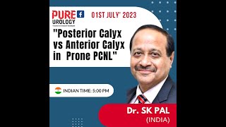 Posterior Calyx vs Anterior Calyx in Prone PCNL [upl. by Llerraj]