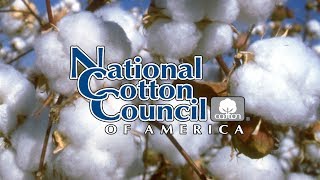 2018 Seed Cotton Information Seminar for Mid South Farm and Gin Show [upl. by Santiago]