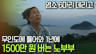 멜로다큐 가족 242회 上 염소 6마리 데리고 무인도에 들어와 1년에 1500만 원 버는 노부부 [upl. by Lorin]