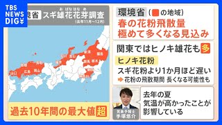 【解説】“スギ花粉”は過去10年で最大ことしの花粉を詳しく解説【花粉症】｜TBS NEWS DIG [upl. by Kinom]