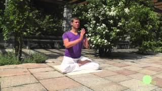 8 Brokate sitzend Baduanjin 8 brocades sitting  Lotus Qigong by Markus Ruppert [upl. by Krysta979]