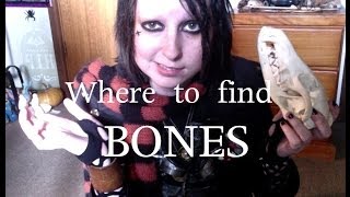 Where To Find Bones [upl. by Aiet352]