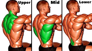 Top 6 Ranked Exercises for Upper Mid and Lower To Build Bigger Thick Back [upl. by Eceirehs]