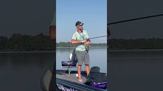 Still Catching those Reelfoot Lake crappie fishing LakeLife Tennessee reelfoot outdoor [upl. by Gnanmos250]