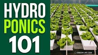 A Beginners Guide To Building A Small Hydroponics System For Your Home [upl. by Vick]