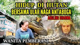 Puluhan Tahun Wanita ini Hidup Di Hutan Berdampingan Dengan Ular Naga Antaboga Angling Dharma [upl. by Nollahp612]