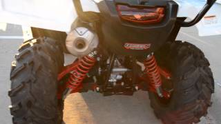 2016 Honda Foreman Rubicon White For Sale Freeedom Porwersports Fort Worth Texas [upl. by Higinbotham846]