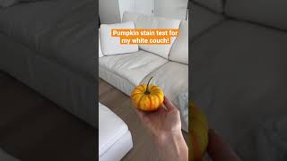 Staining my white couch with PUMPKIN Testing if it’s really stainproof 😱 shorts [upl. by Atsev]