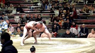 Takanoyama 29  Arawashi 74  Sumo  Hatsubasho 14 [upl. by Loni]