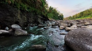 Relaxing River Sounds Beautiful Forest Scenery Tranquil White Noise for Relaxation for Sleep [upl. by Lered]