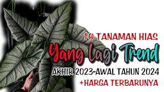 26 JENIS TANAMAN HIAS TAHAN PANAS  26 TYPES OF HEAT RESISTANT ORNAMENTAL PLANTS PART 1 [upl. by Harl]