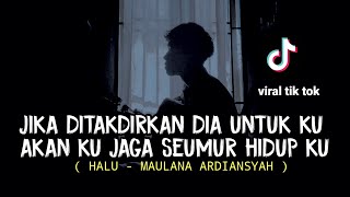 LIRIK LAGU HALU  MAULANA ARDIANSYAH jika ditakdirkan dia untukku akan ku jaga cover agusriansyah [upl. by Gonroff814]