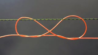 Three best knots to tie two fishing lines together [upl. by Twila]