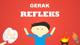 Bagaimana gerak refleks terjadi [upl. by Lani]