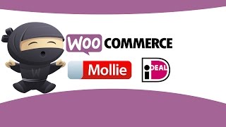 WooCommerce iDEAL Mollie plugin voor betalingen [upl. by Twila]