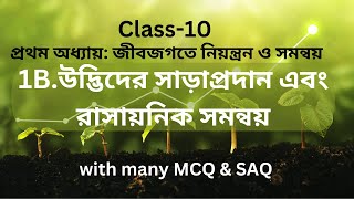 class 10 উদ্ভিদের সাড়াপ্রদান ও রাসায়নিক সমন্বয়সাধনplanthormones theorymcqsaq Harunbiozone [upl. by Eanert]