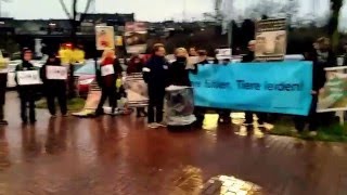 WIESENHOFPROTEST ATZE SCHRÖDER Düsseldorf 04032016 [upl. by Leiad]